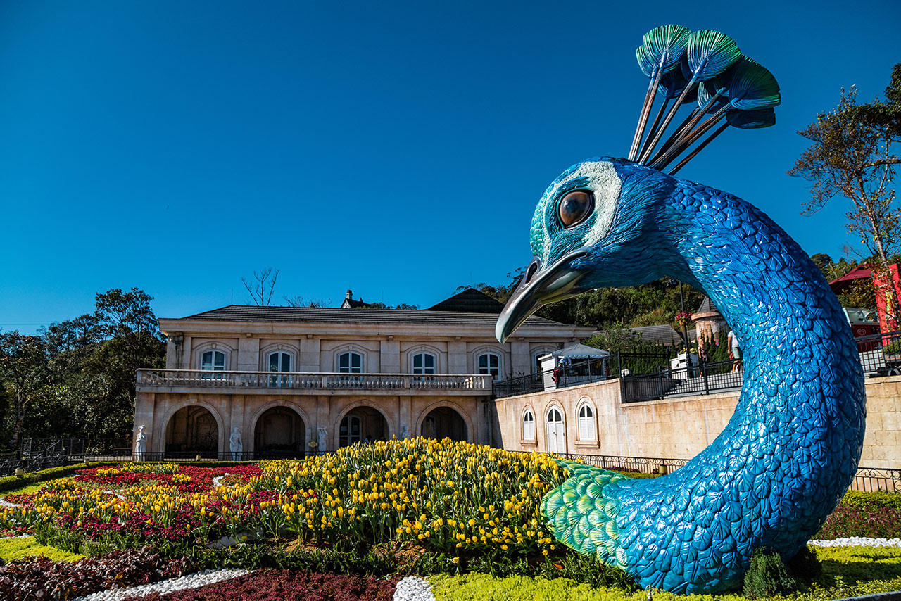 Tour Bà Nà Hills 1 Ngày